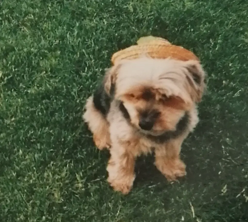 Condolence image of Von Buffy ❤️