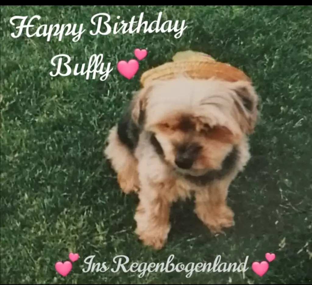 Condolence image of Für Ina v Buffy 