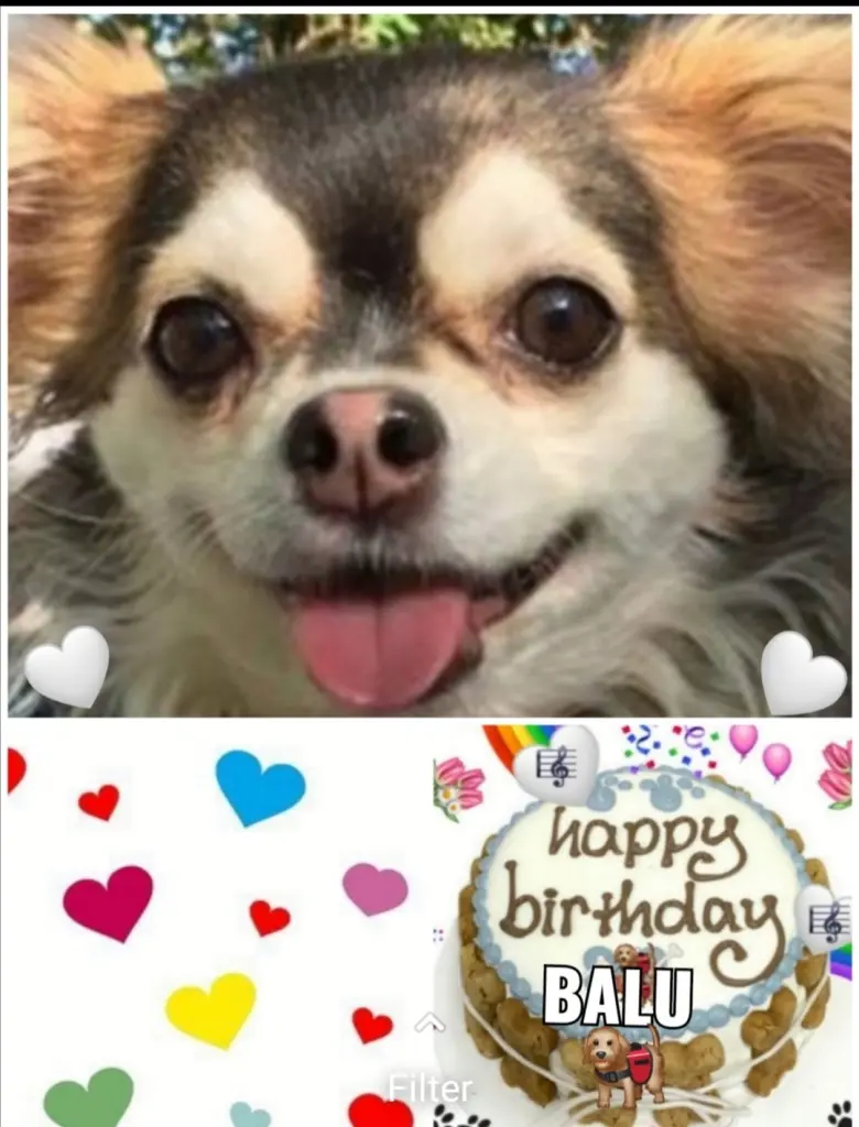 Condolence image of Für Balu ❤️