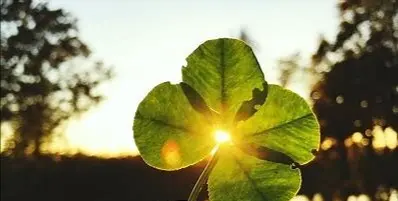 Condolence image of Ina v Snowy 