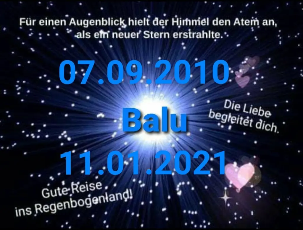 Condolence image of Ina Erberich