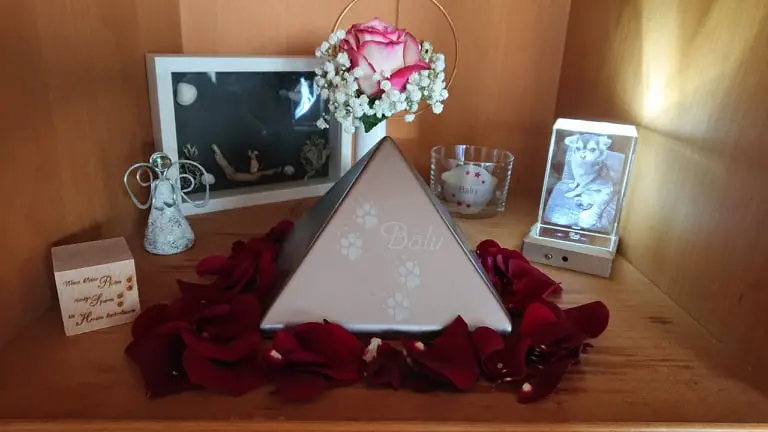 Condolence image of für Balu