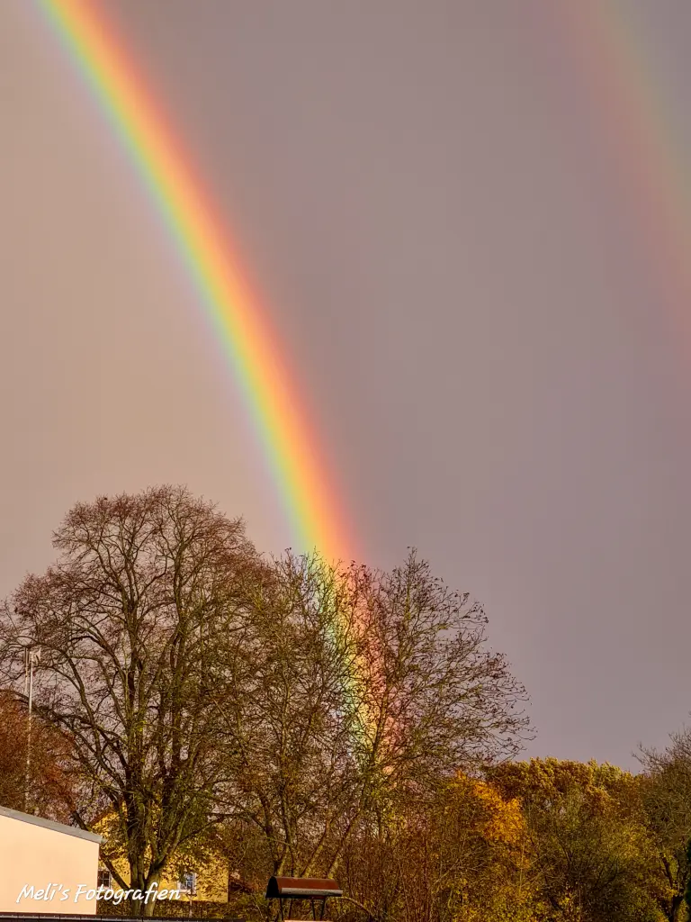 Condolence image of Meli Bella Berry Kira