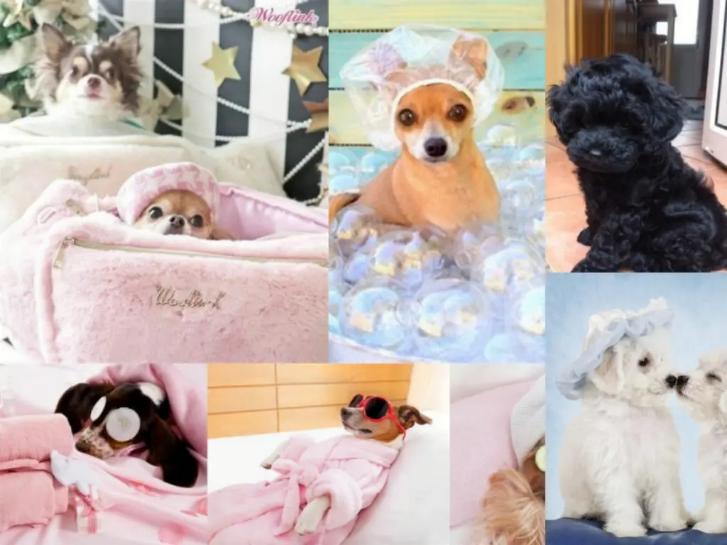 Condolence image of Von Gaby ❤️