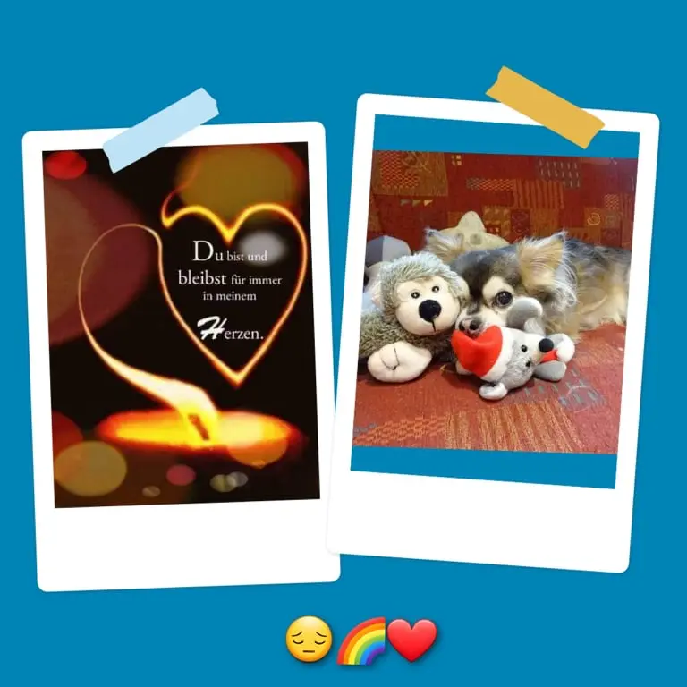 Condolence image of Ina