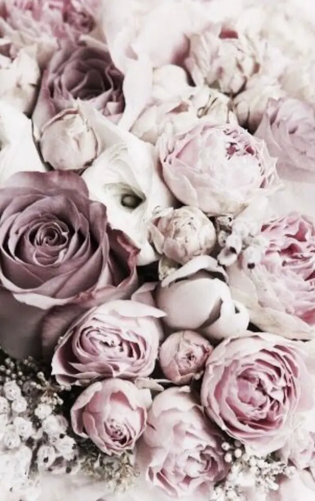 Condolence image of Von Birgit 