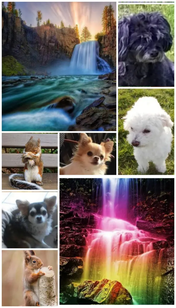 Condolence image of ❤️