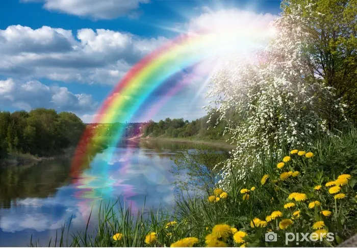 Condolence image of für Balu