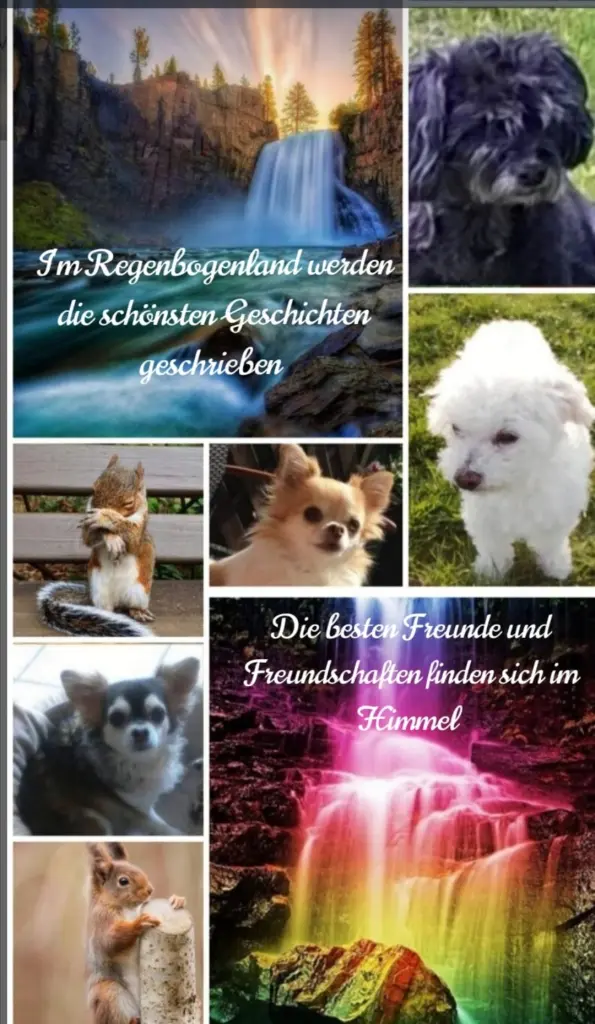 Condolence image of Post aus dem Regenbogenland ❤️