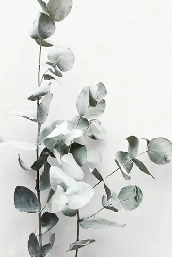 Condolence image of Birgit mit Shila im Herzen ♥️ 