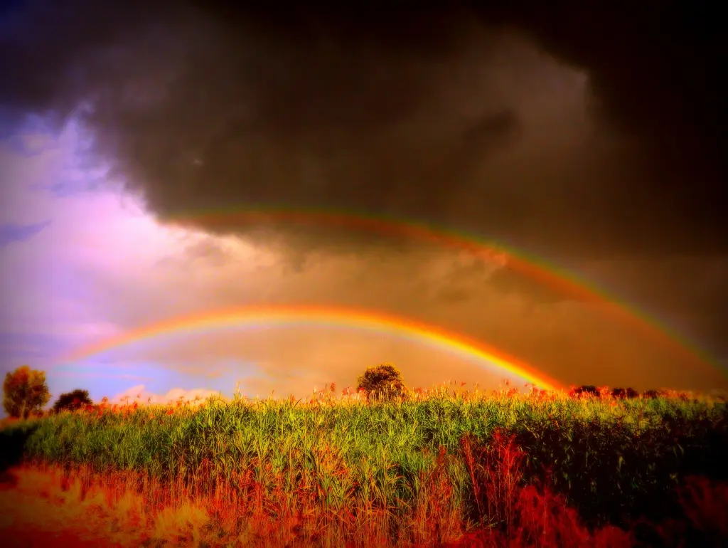 Condolence image of Gaby  für Ina