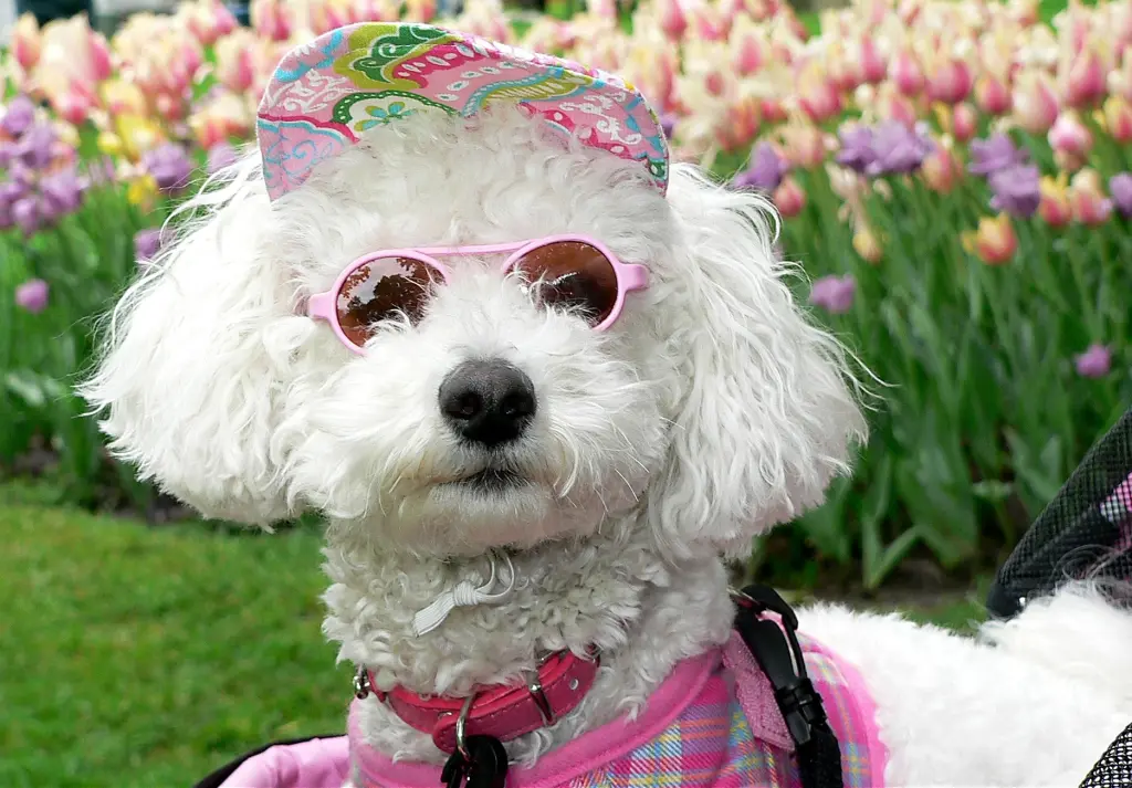 Condolence image of Von Gaby ❤️