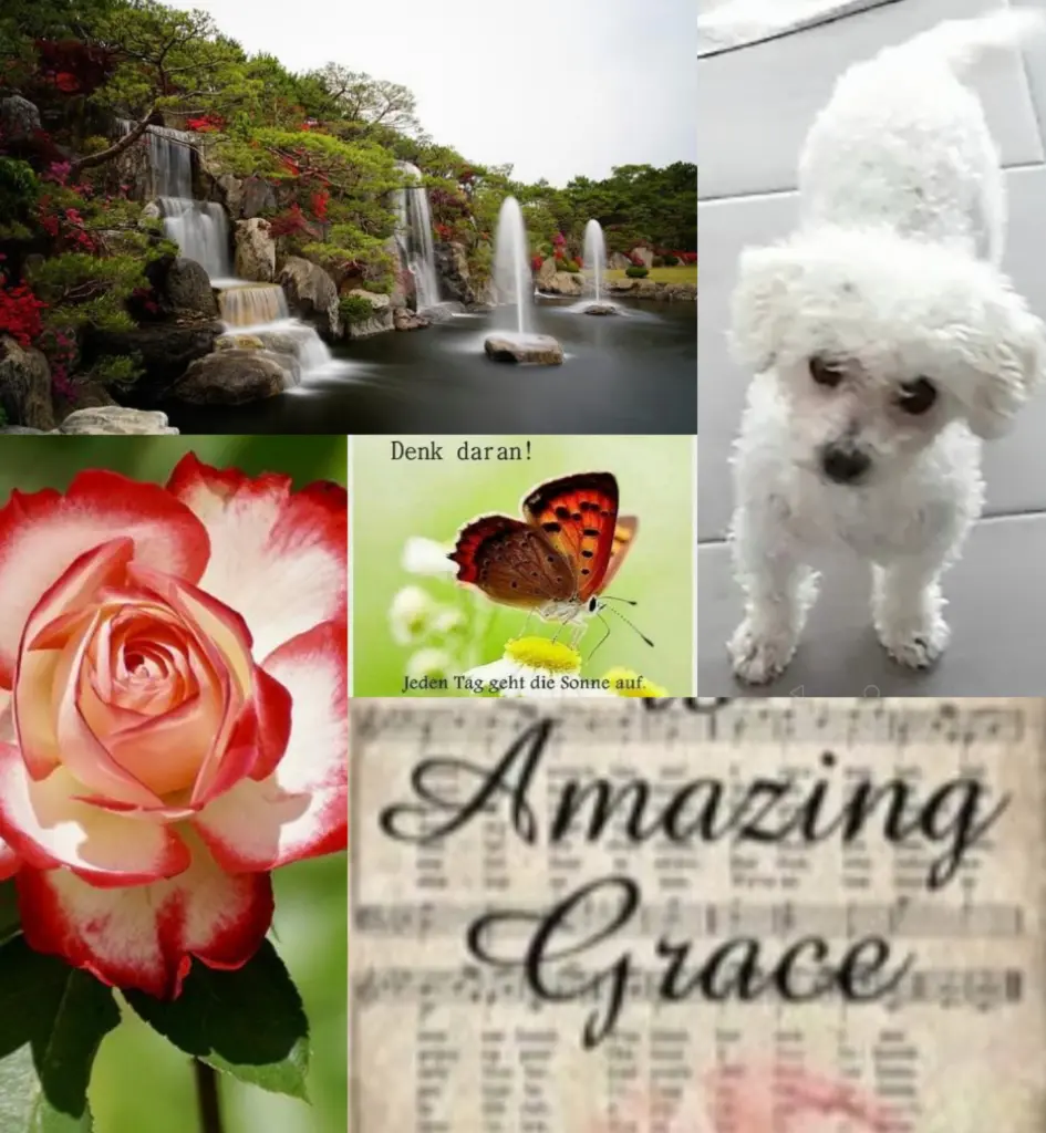 Condolence image of Gaby für Ina 