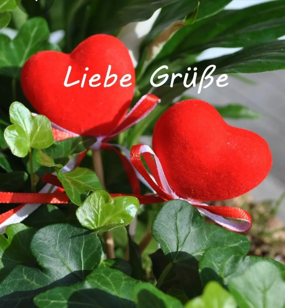 Condolence image of für Ina von Elke