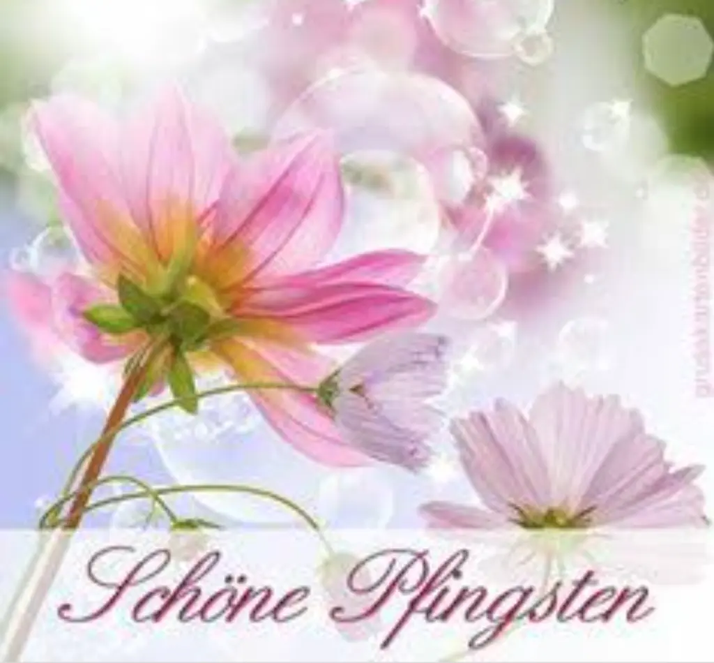 Condolence image of Für Balu 