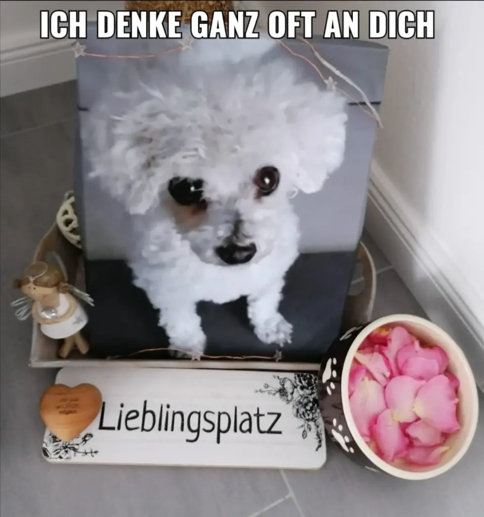 Condolence image of Für Ina u Balu 