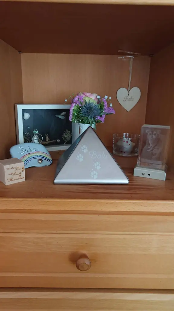 Condolence image of Ina Erberich