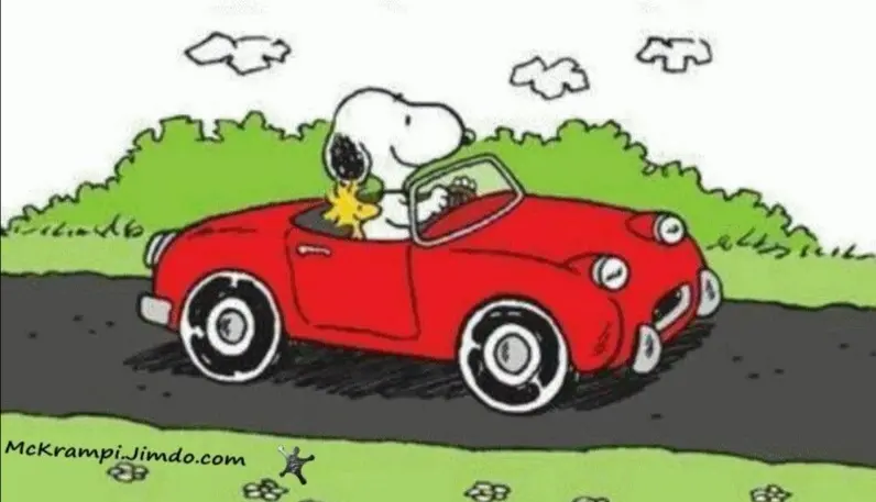 Condolence image of Für Balu und die ganze Rasselbande 