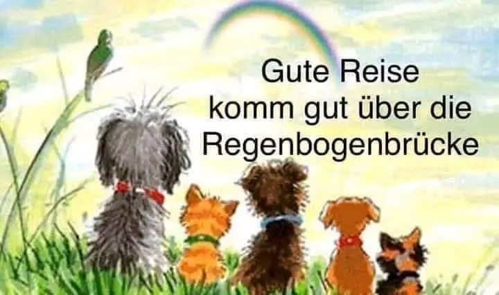 Condolence image of für Balu