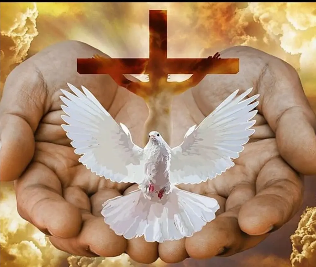 Condolence image of Gaby mit Snowy im Herzen 