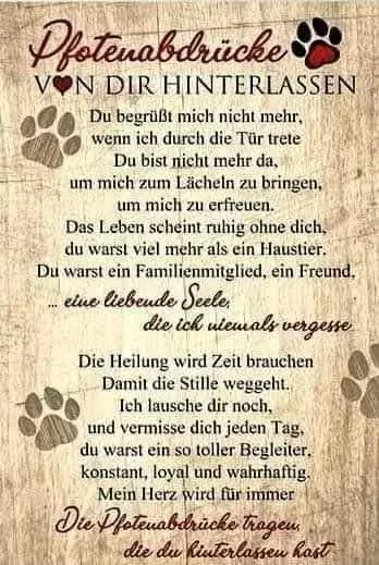 Condolence image of für Balu ❤️❤️❤️❤️