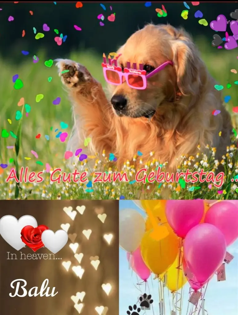 Condolence image of Für Balu ❤️