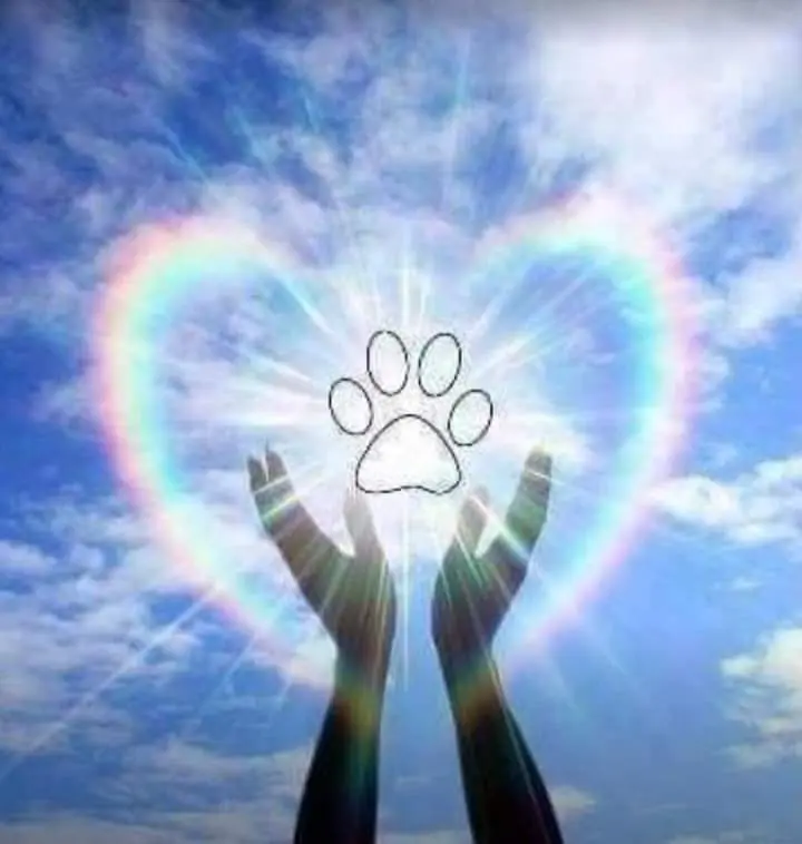 Condolence image of Iris mit Louis im ❤️