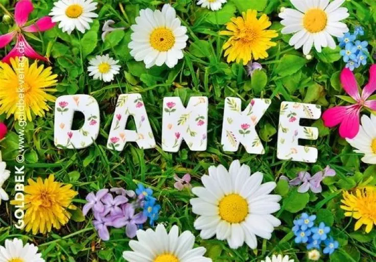 Condolence image of Ina Erberich