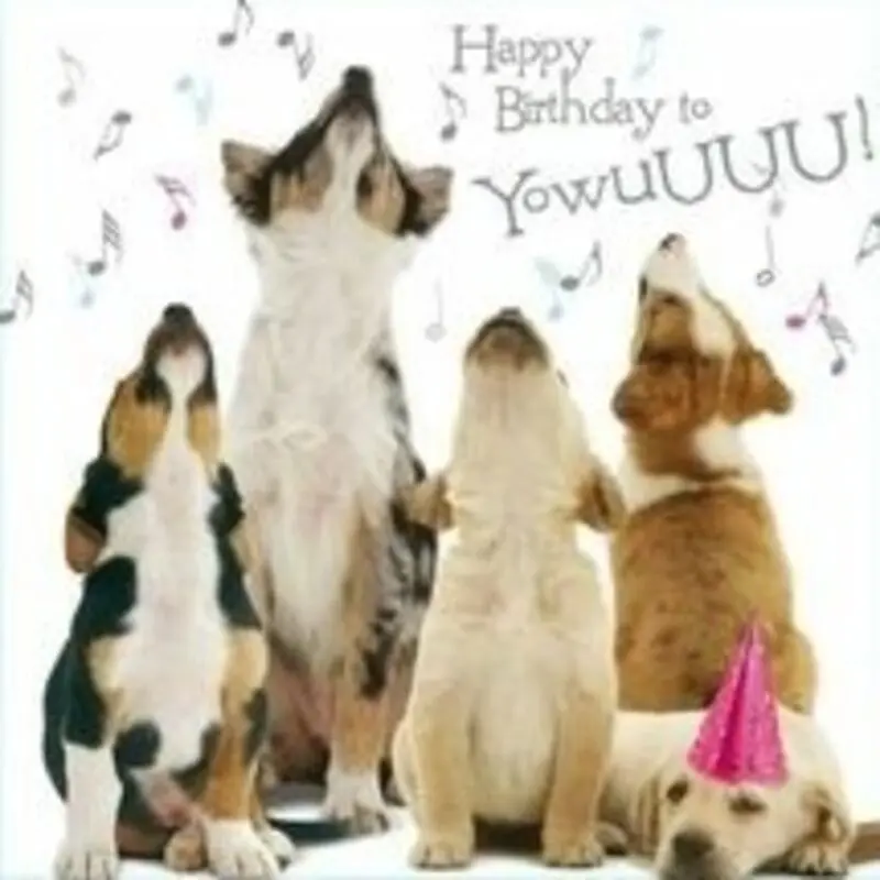 Condolence image of Elke und Horst für Balu ❤️