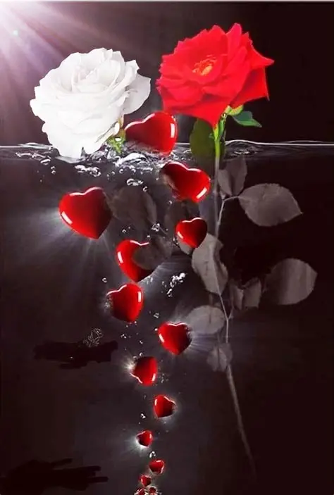 Condolence image of Für Ina u Balu 