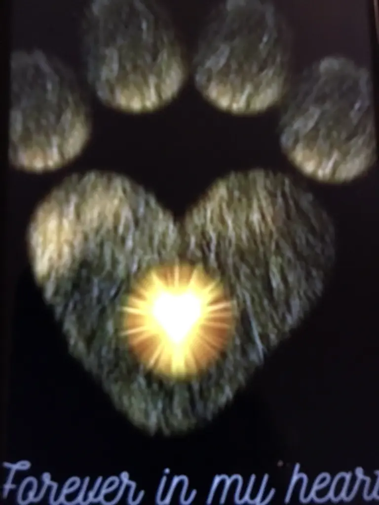 Condolence image of Für Balu und Ina