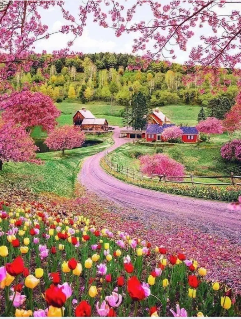 Condolence image of Von Snowy ❤️