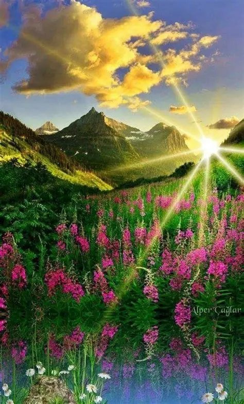 Condolence image of Gaby für Ina 