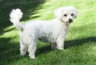 Condolence image of Von Gaby ❤️