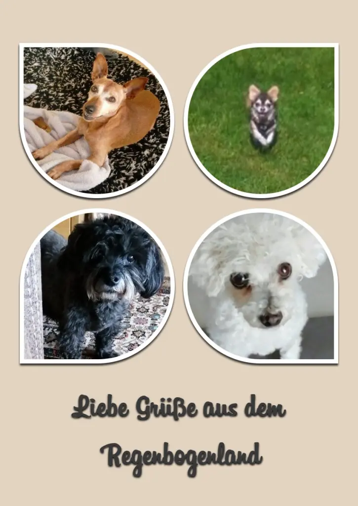 Condolence image of Jutta mit Purzel tief im Herzen  ✟ 08.05.2016 