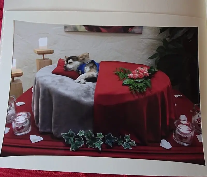 Condolence image of Ina Erberich