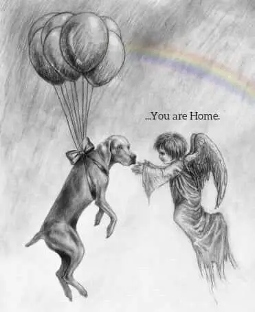 Condolence image of Unbekannt