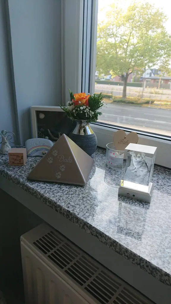 Condolence image of Für Balu