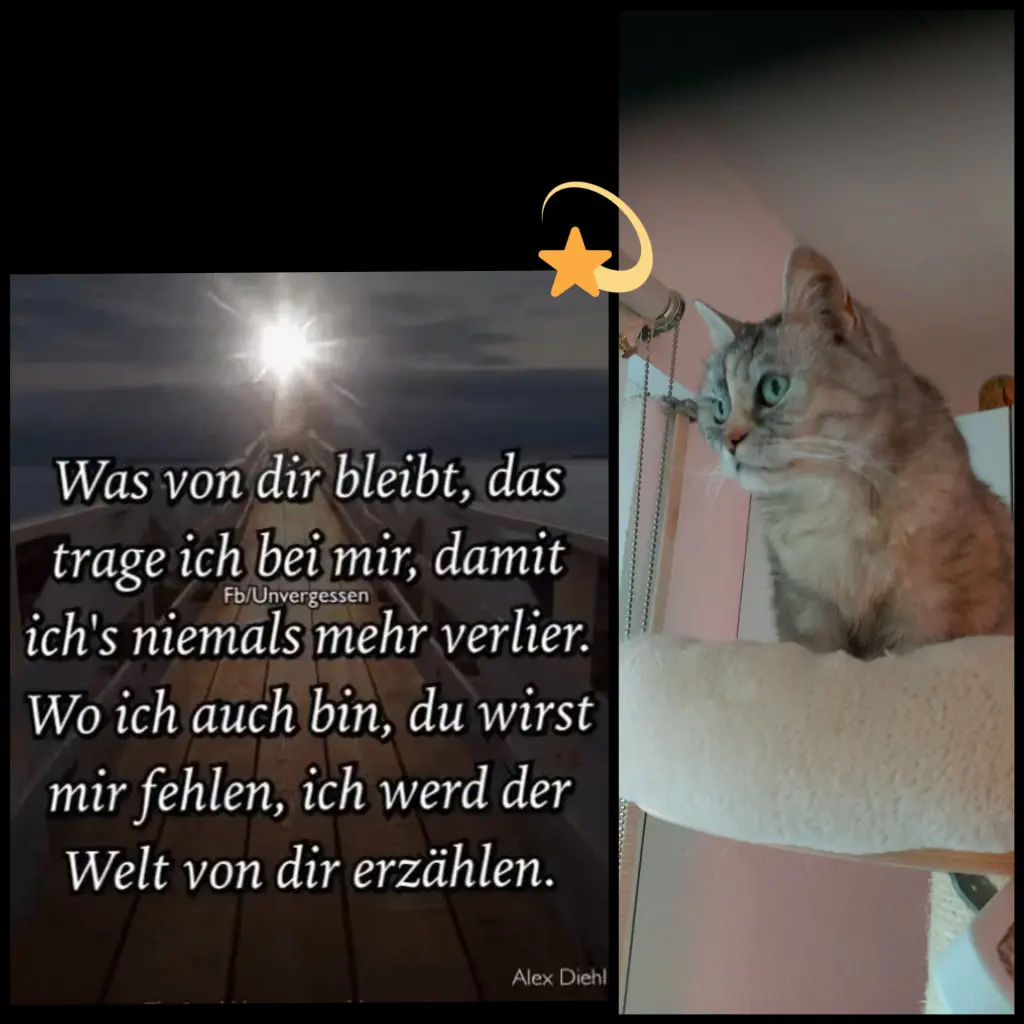 Condolence image of Silke mit Mia im Herzen♥️