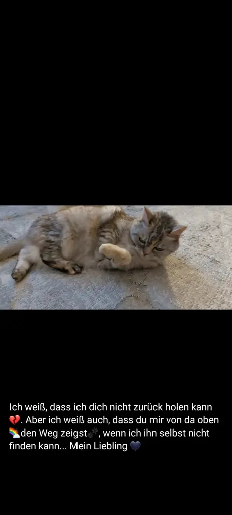 Condolence image of Für Ina und Balu