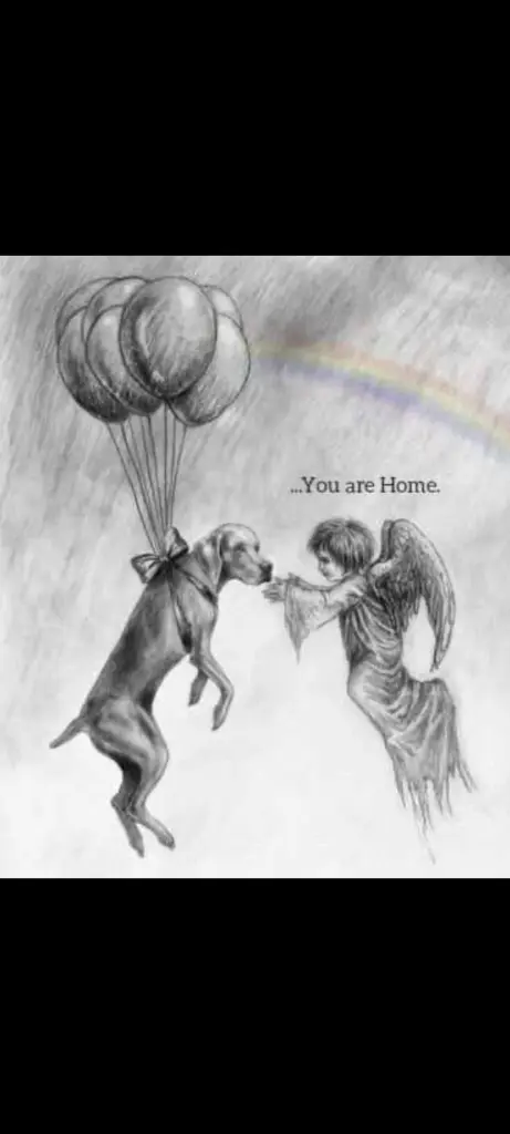 Condolence image of Für Ina und Balu