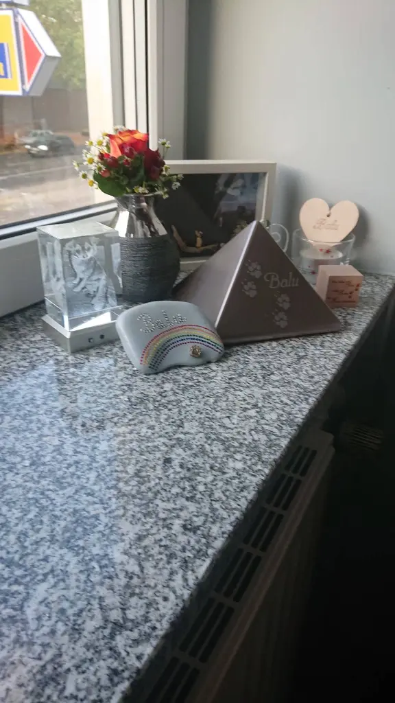 Condolence image of Für meinen Regenbogenengel