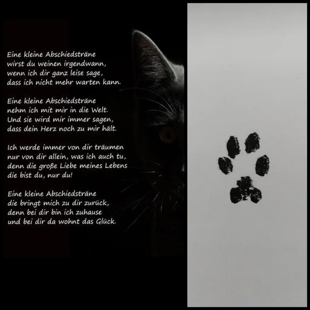 Condolence image of Silke mit Mia im Herzen♥️