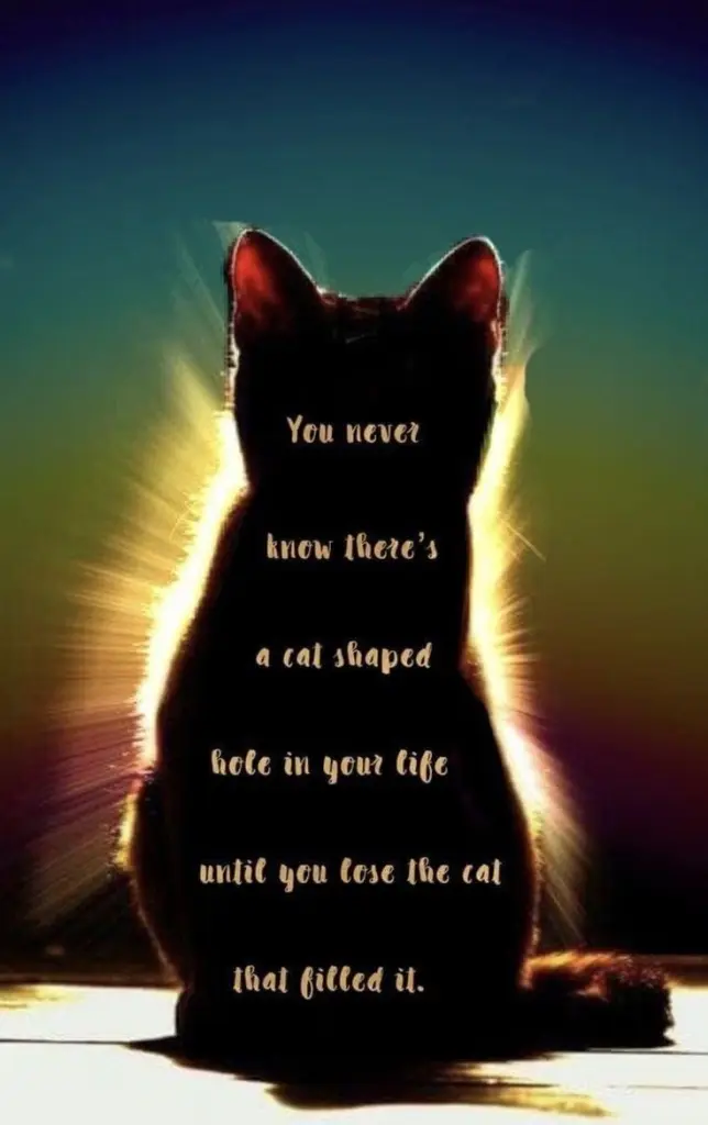 Condolence image of Für Ina♥️