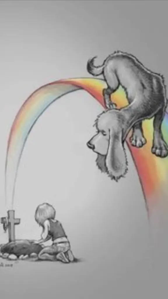 Condolence image of Sigrid