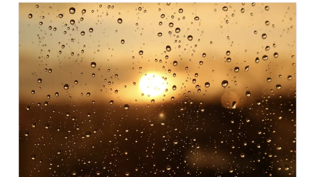 Condolence image of Sigrid 