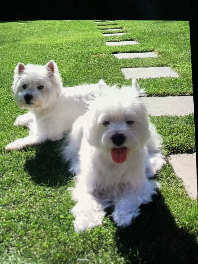 Condolence image of Sigrid 