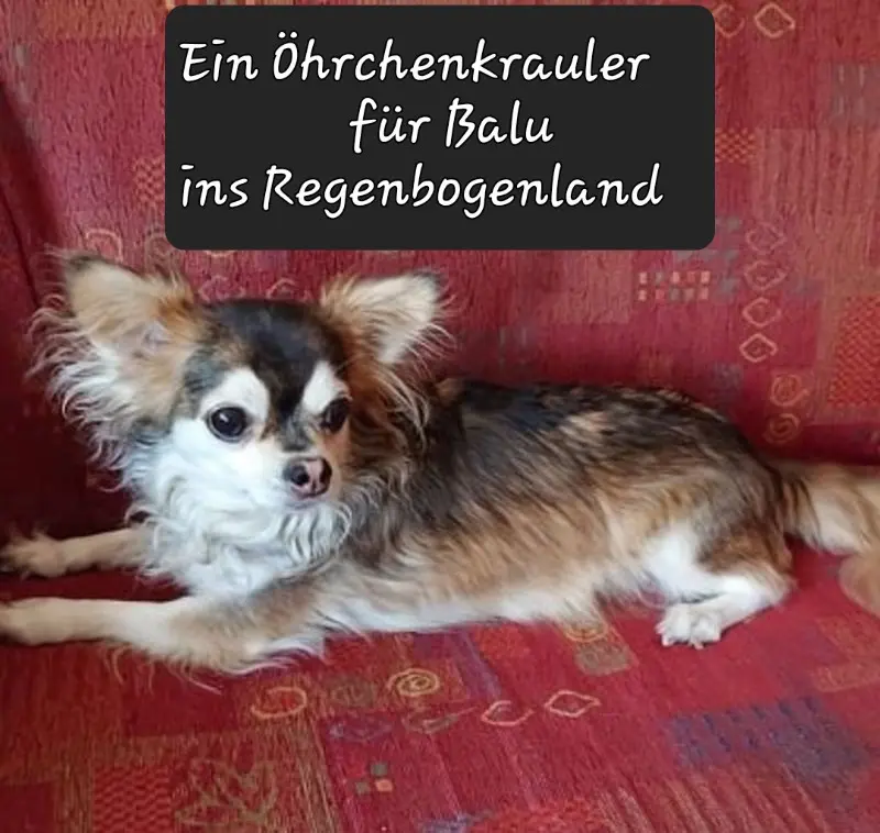 Condolence image of Jutta