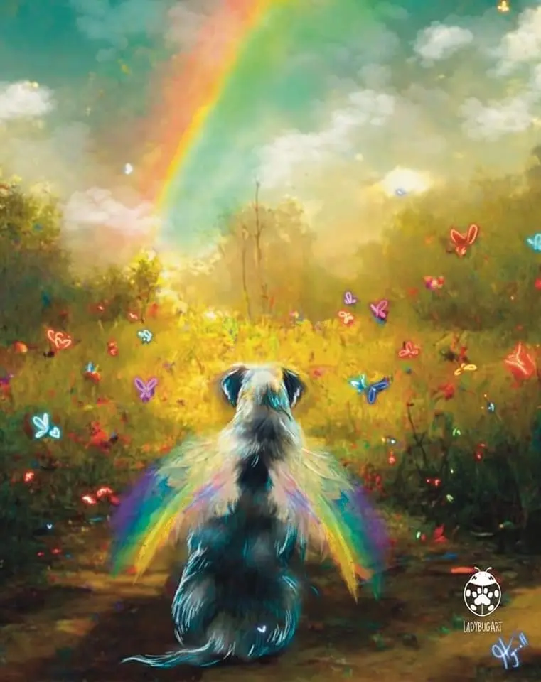 Condolence image of Von Balu