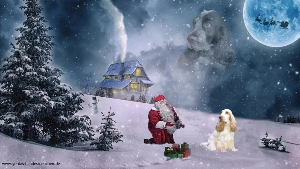 Condolence image of Gerda